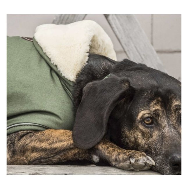 kentucky Hondenjas Waterproof 300g