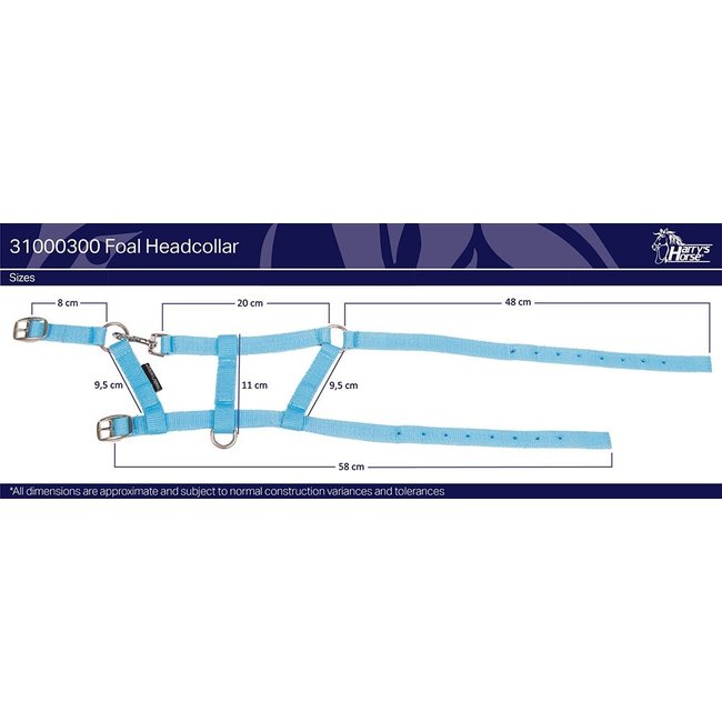 Harry's Horse Veulenhalster