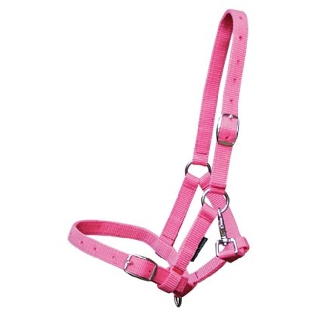 Harry's Horse Veulenhalster