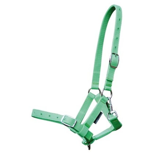 Harry's Horse Veulenhalster