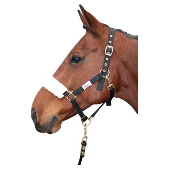 Harry's Horse Neusbontje synthetisch