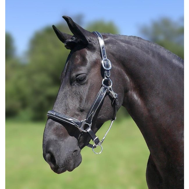 Showtime Halster leer World Wide