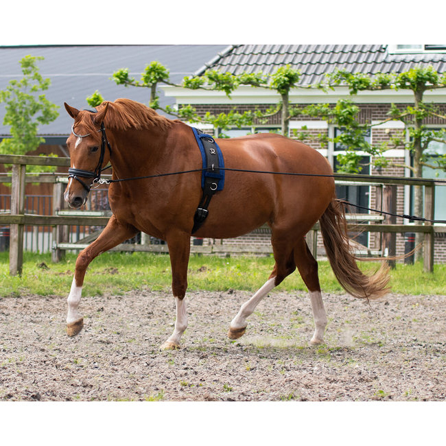 Qhp Longeerlijn dubbel