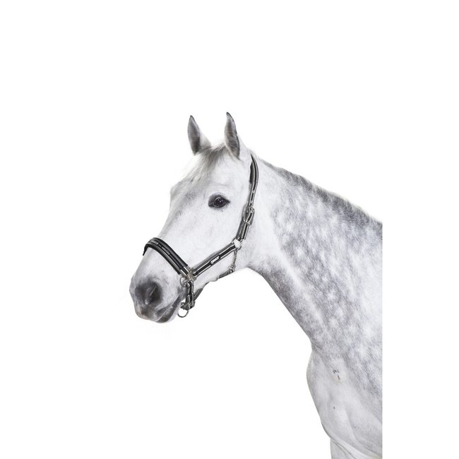 Eskadron Halster Classic Sport  met doorn sluiting