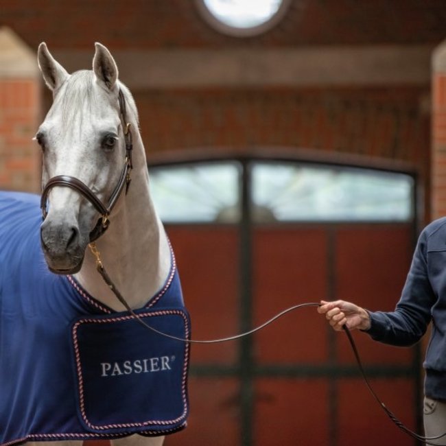 Passier Looplijn leer