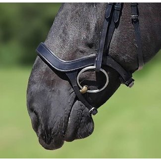 Showtime Anatomic neusriem