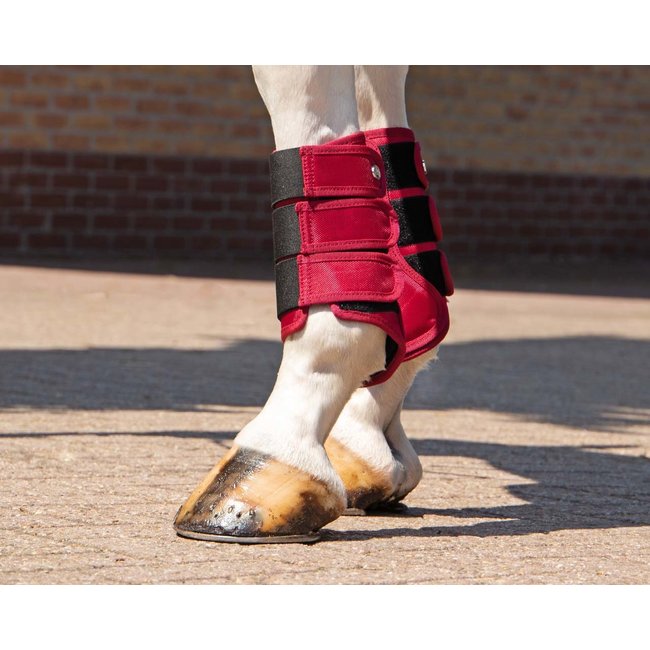 Qhp Beenbeschermers Havana