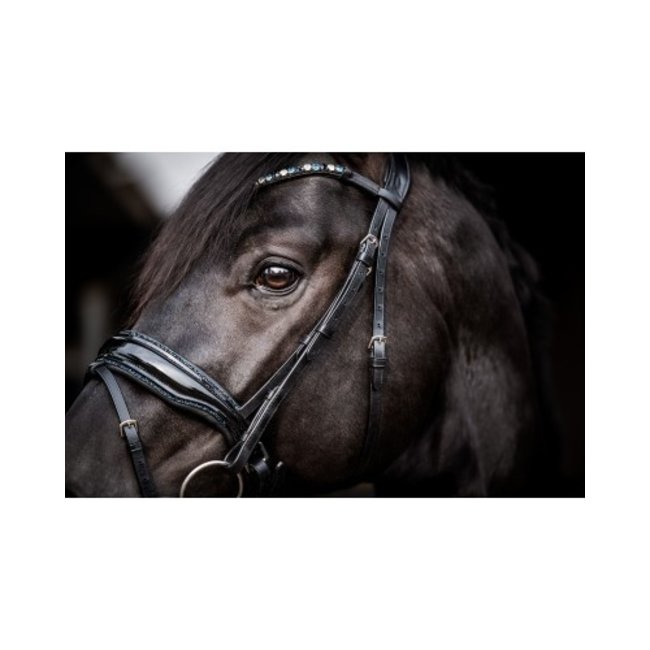 Showtime Hoofdstel Evalira