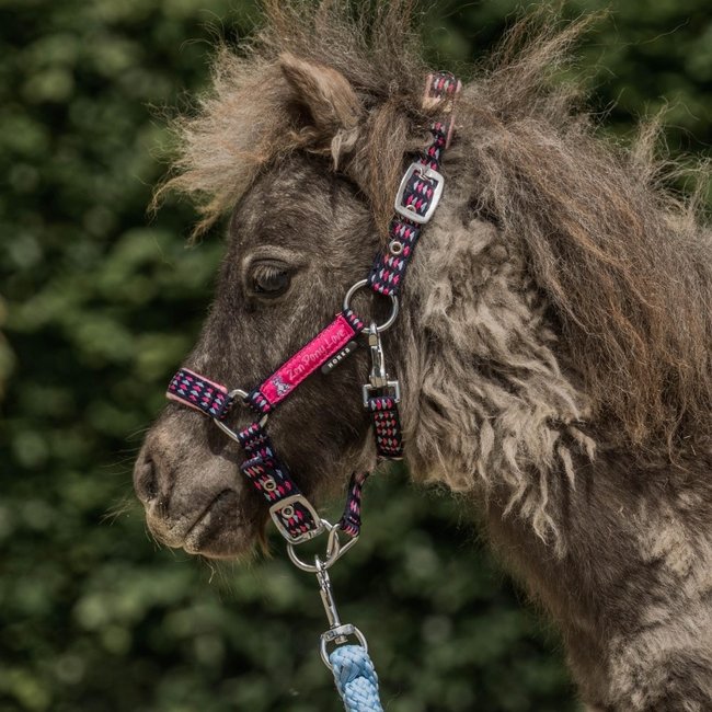 Horka Halster set Jolly SS22