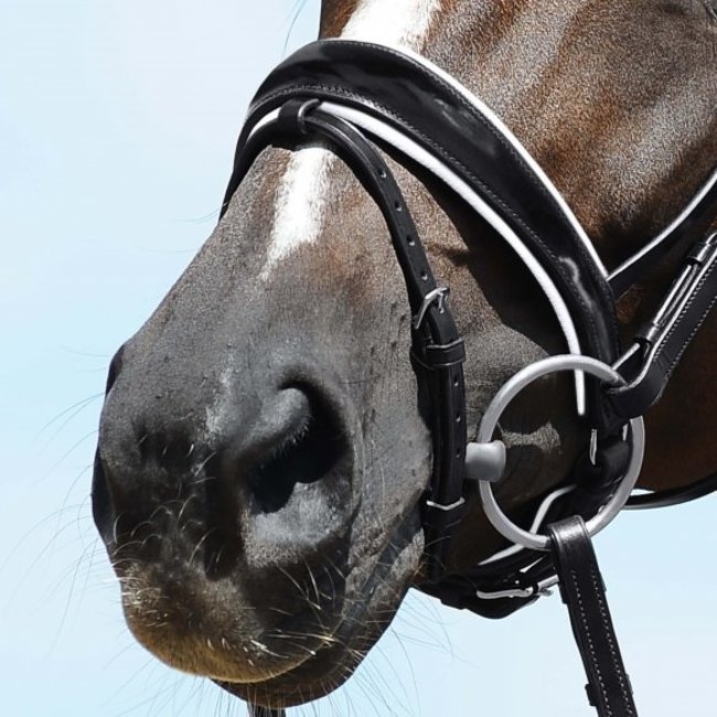 Passier Hoofdstel PassierBlu Spirit m/aansnoerneusriem