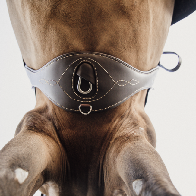 kentucky Anatomische singel