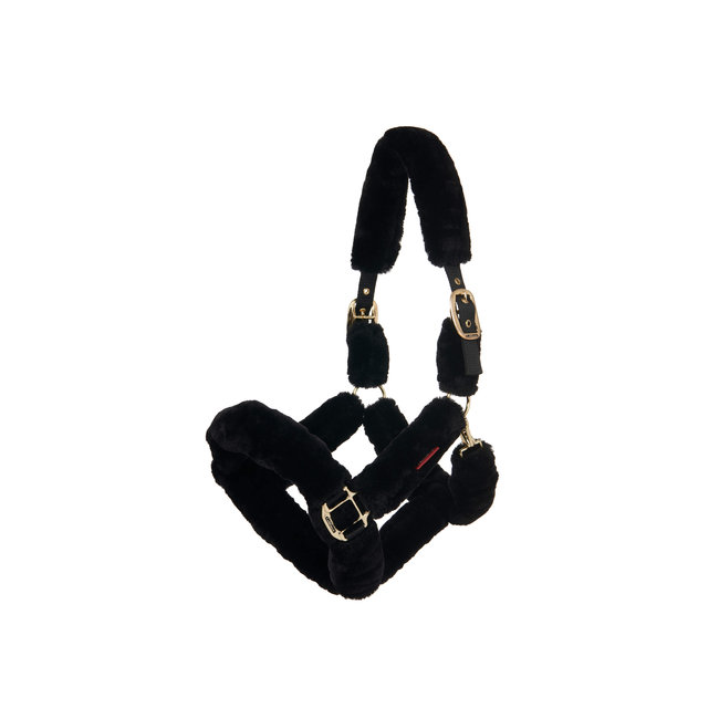 LeMieux Halster Comfort plus