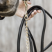 Kentucky Lederen  presentatielijn met ketting