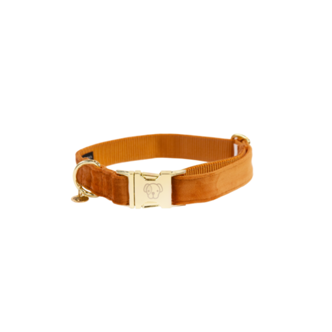 kentucky Hondenband velvet