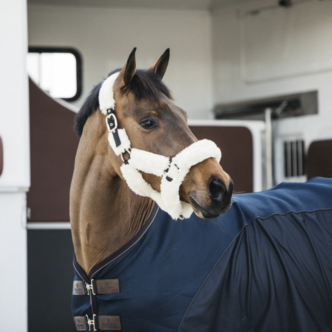 kentucky Halster Bont Transport Kentucky