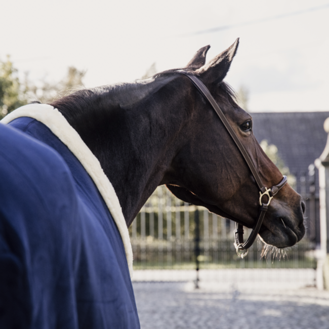 kentucky Zweetdeken Show fleece  heavy