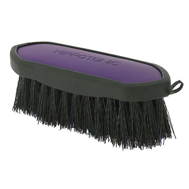 Hippotonic Borstel Soft klein model