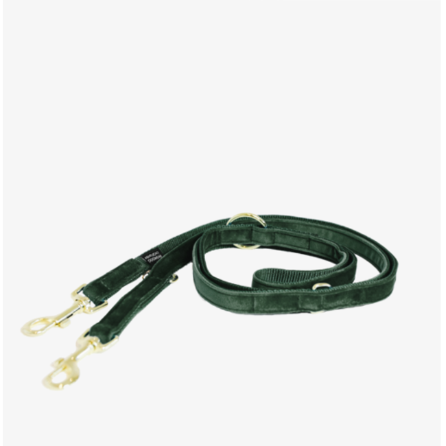 kentucky Hondenlijn Velvet