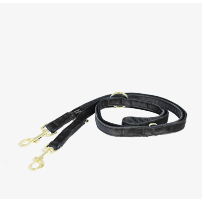 kentucky Hondenlijn Velvet