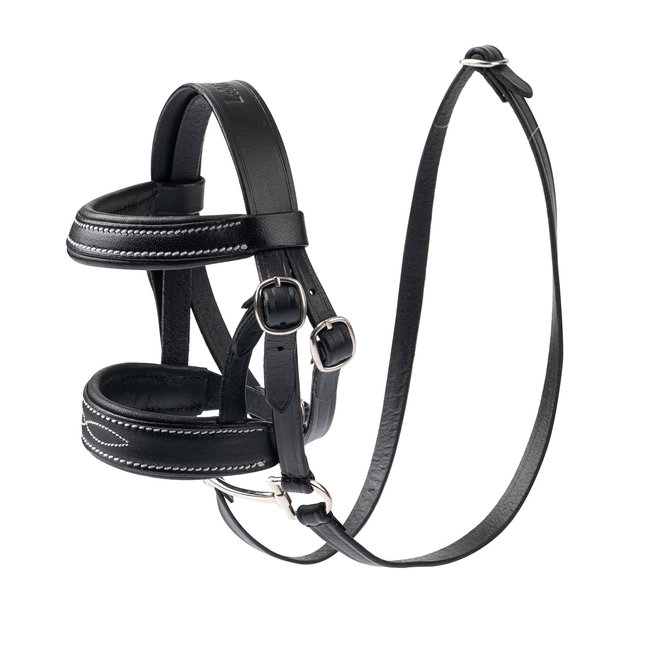 LeMieux Toy Pony Hoofdstel