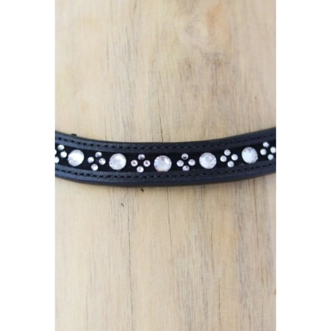 Showtime Frontriem Forever