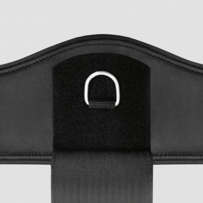 Passier Gebogen Dressuursingel