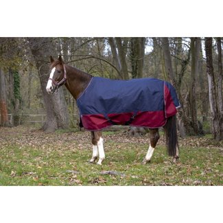 Equi-Theme Outdoordeken tyrex 1200D