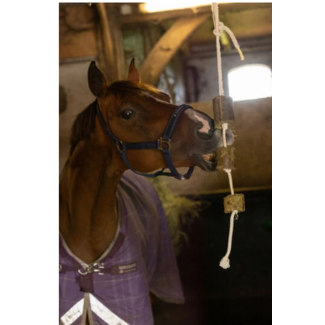 Luzerne Met Speeltouw