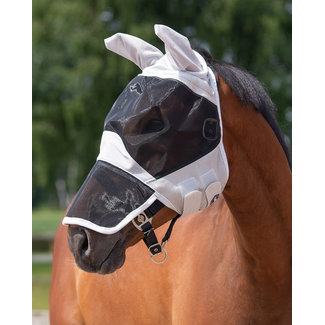 Qhp Vliegenkap Solaire Qhp Vliegenkap Solaire