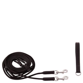 BR Slofteugel Norwich