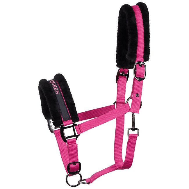 Harry's Horse Halster lyrics Black