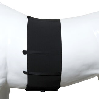 Body Bandage