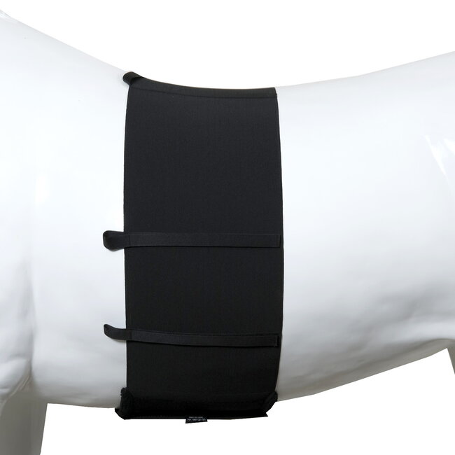 Body Bandage