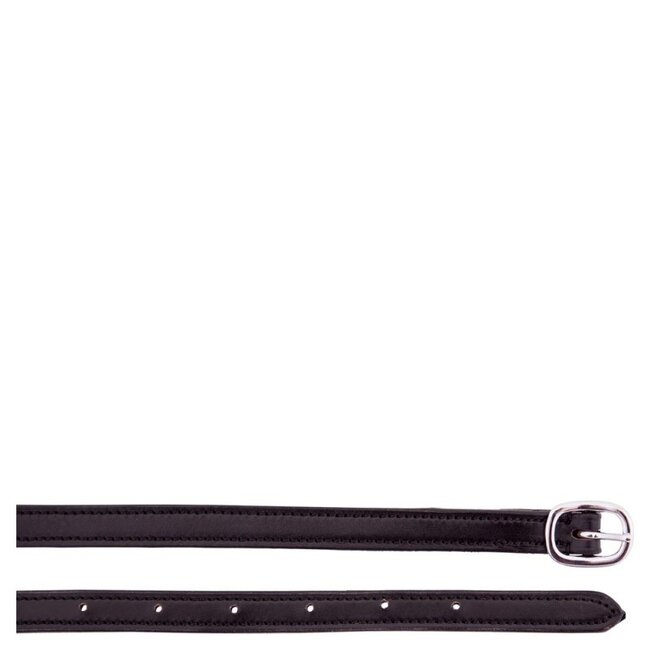 BR Spoorriemen leer gevoerd 13 mm RVS gesp