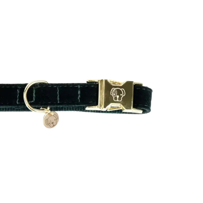 kentucky Hondenhalsband Corduroy