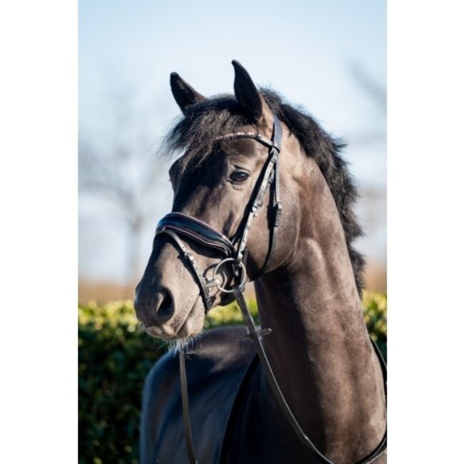 Showtime Hoofdstel Evalira