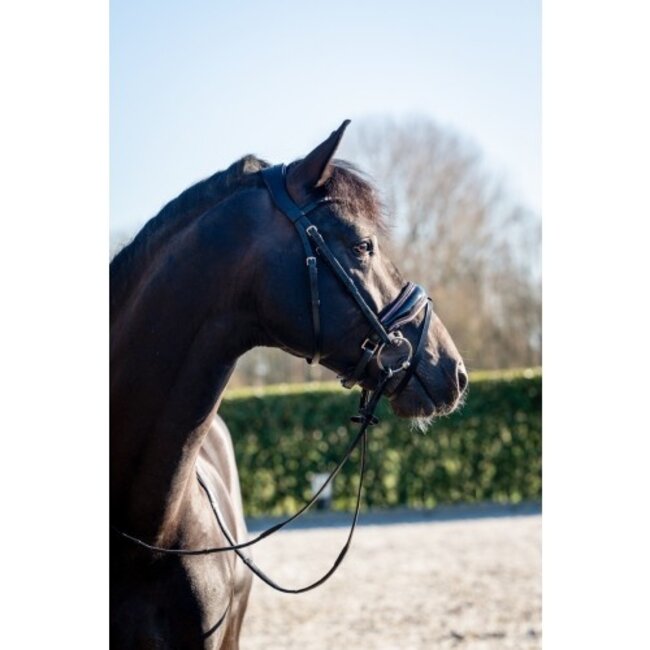 Showtime Hoofdstel Evalira