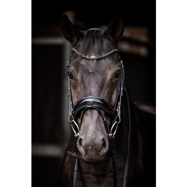 Showtime Hoofdstel Evalira