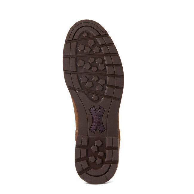 Ariat Wexford H20 womens
