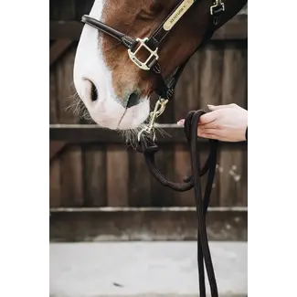 kentucky Paardenlijn lus 2.80m