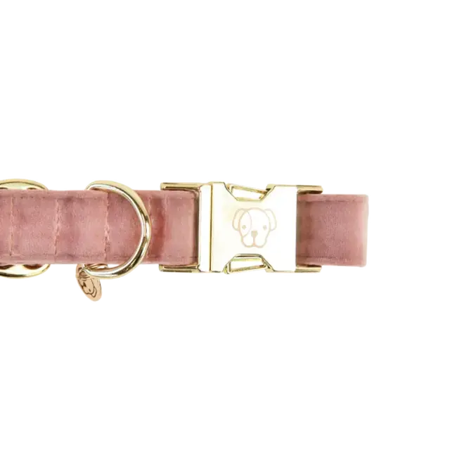 kentucky Hondenband velvet