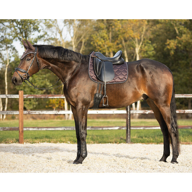 Qhp Zadeldek Collection