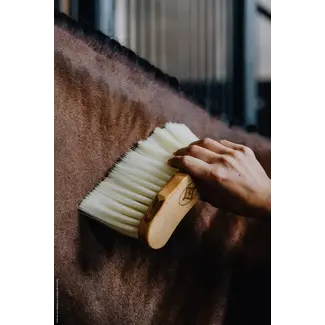 kentucky Borstel middellang naturel