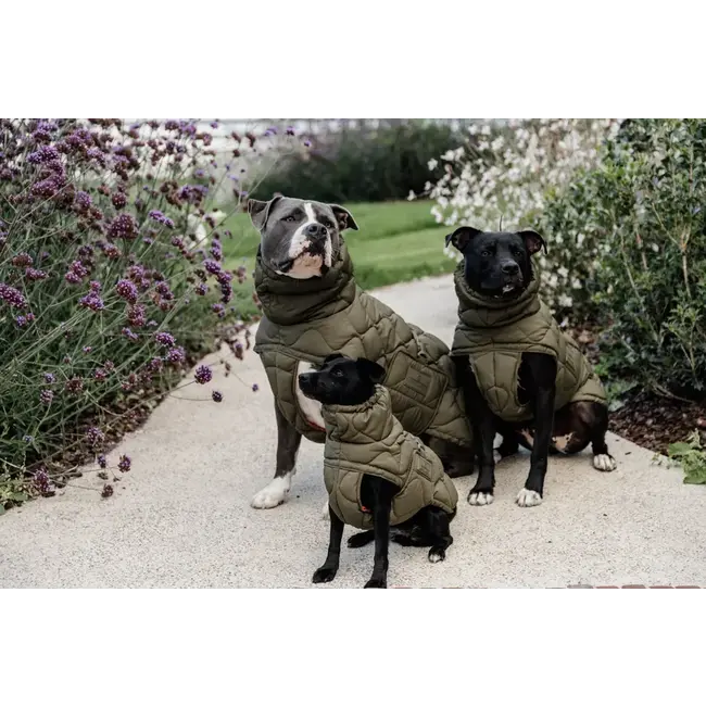 kentucky Hondenjas winter Pina 160 gr