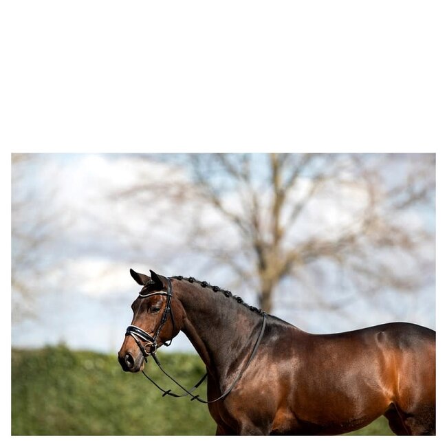 Anky Hoofdstel ATH16003