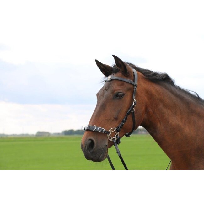 FRA Hoofdstel Caval  met scharen en teugel