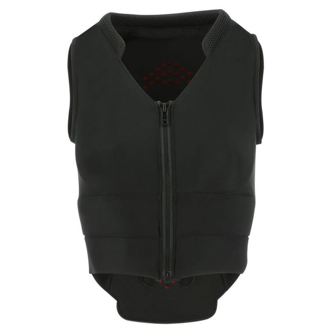 Equi-Theme Back Protector