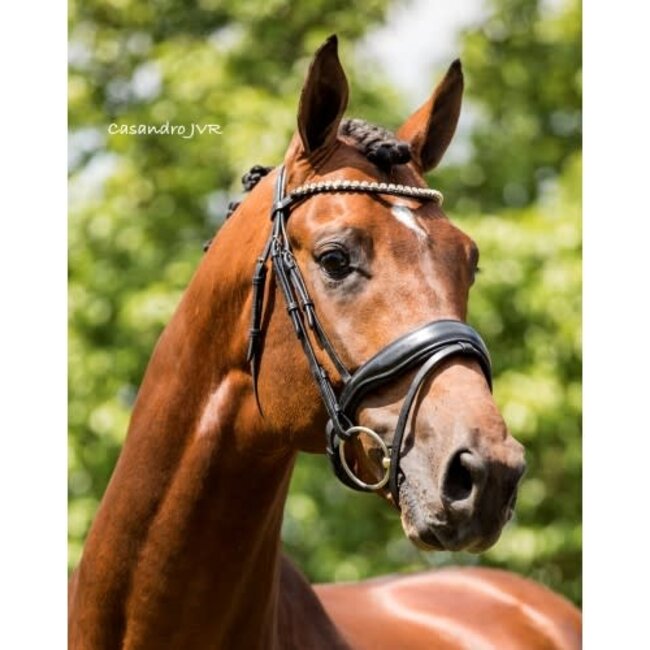 Showtime Hoofdstel Showtime Luxery