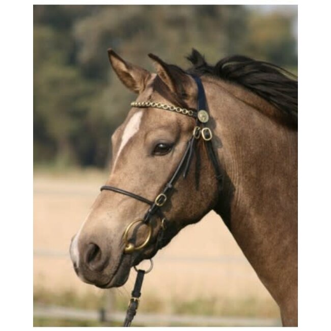 Voorbreng Hoofdstel HB Black