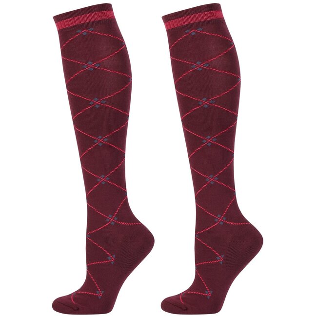 Harry's Horse Kousen Tanger